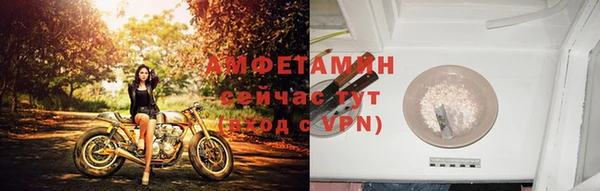 амф Артём